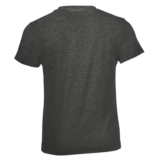 SOLS Kinderen/Kinderen Heather Normaal T-Shirt (Houtskoolmelange) - Image 2