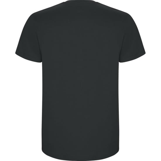 Roly Kinderen/Kinderen Stafford T-Shirt (Donker lood) - Image 2