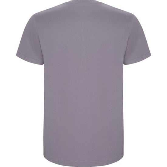 Roly Kinderen/Kinderen Stafford T-Shirt (Lavendel) - Image 2