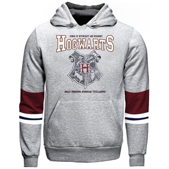 Harry Potter Kinderen/Kinderen Hoodie met Zweinsteinmotief (Grijs) - Image 1