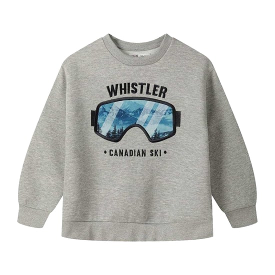 Minoti Jongens Grafisch Sweatshirt (Grijs) - Image 1