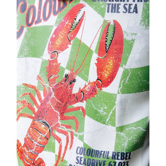 Colourful Rebel T-shirt wt117809 lobster - Image 3