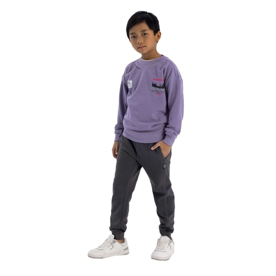 Minoti Joggingbroek met klein logo voor jongens (Grijs) - Image 3