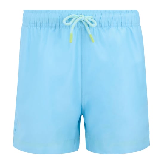 Regatta Skander Zwemshort Kinderen/Kinderen (Baltisch/scherpgroen) - Image 1
