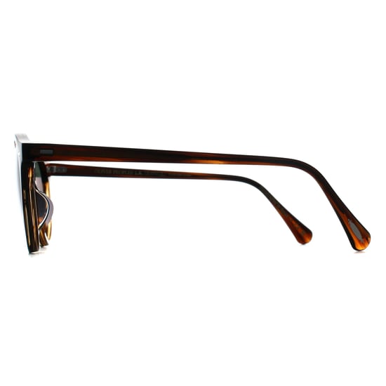 Oliver Peoples Round Unisex Tuscany Tortoise G-15 Polarized OV5217S Gregory Peck - Image 3