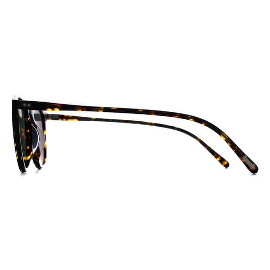 Oliver Peoples Round Unisex Atago Tortoise G-15 Polarized OV5491SU Finley - Image 3