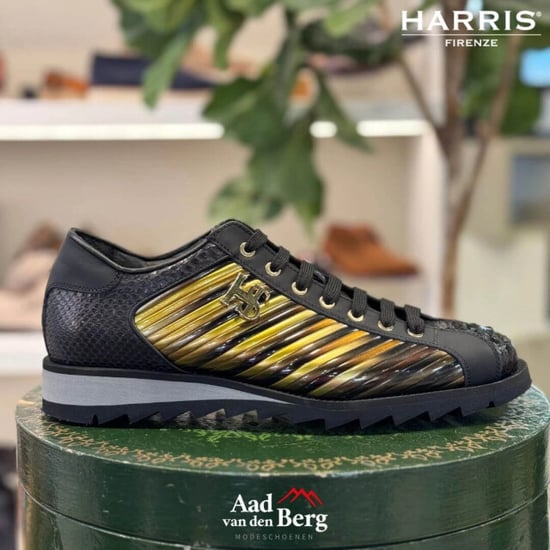 Harris Herenschoenen sneakers - Image 2