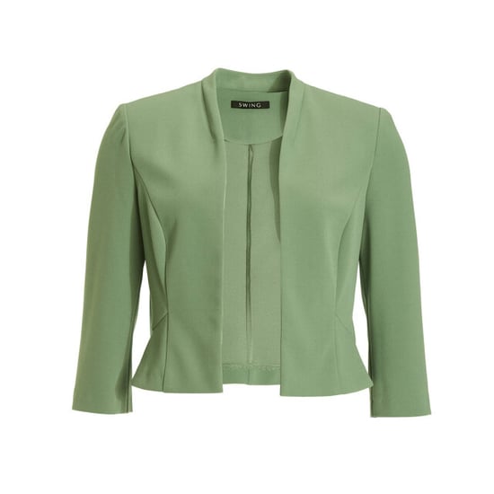 Swing Blazer 4af01800 - Image 1
