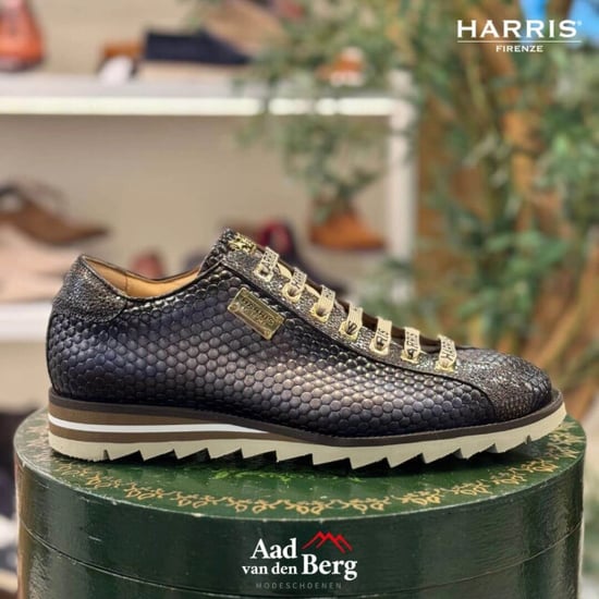 Harris Herenschoenen sneakers - Image 4