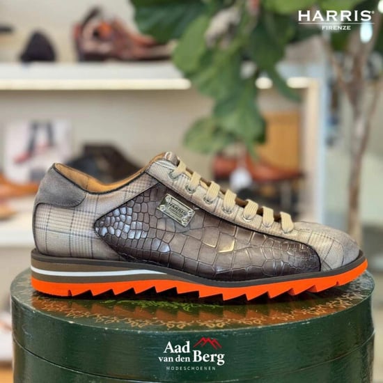 Harris Herenschoenen sneakers - Image 2