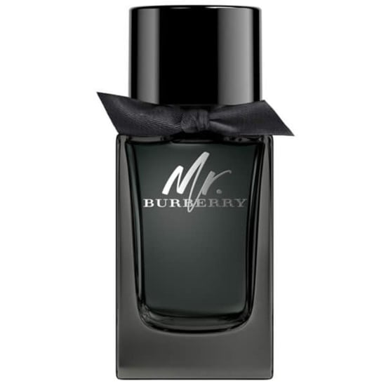 Burberry Mr. Burberry 100ml EDP Spray - Image 1