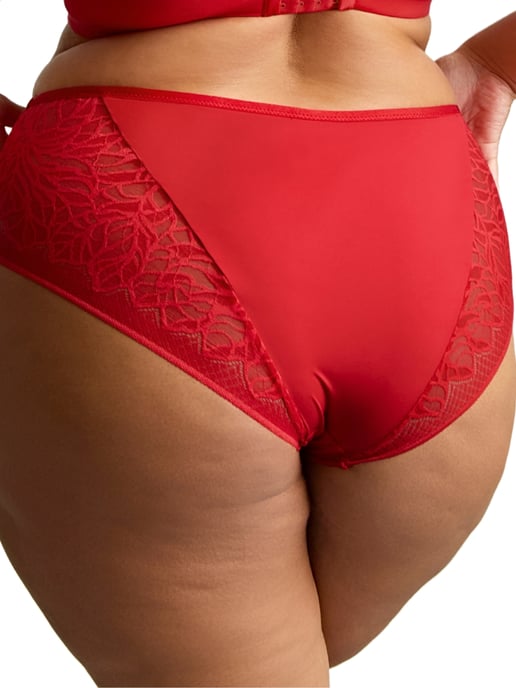 Sophia Deep Brief - Image 2