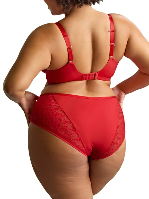 Sophia Deep Brief - Image 4