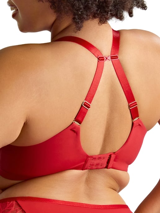 Sophia Plunge Bra - Image 3
