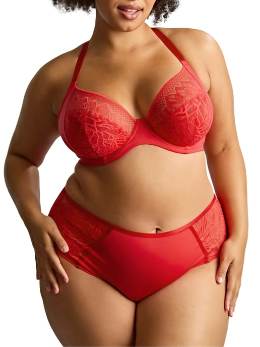 Sophia Plunge Bra - Image 4