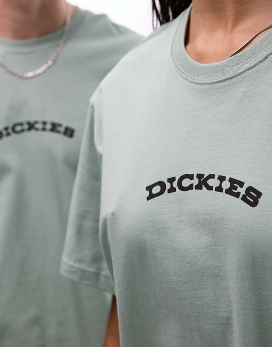 Dickies outdoor graphic back print t-shirt in light green - Image 2