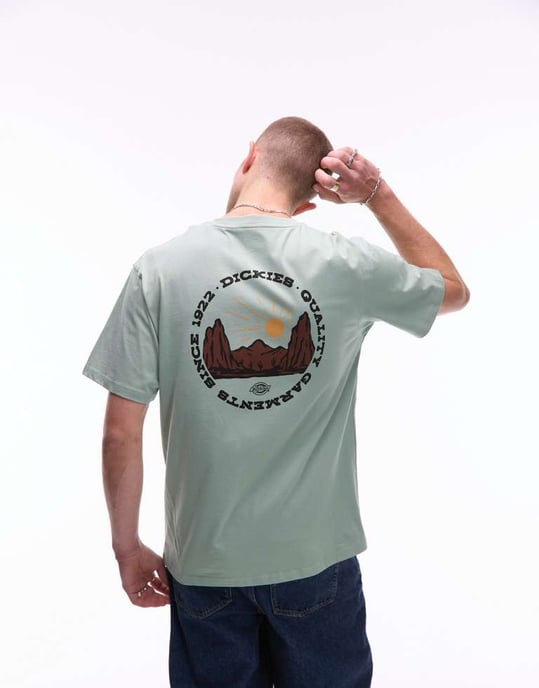 Dickies outdoor graphic back print t-shirt in light green - Image 3