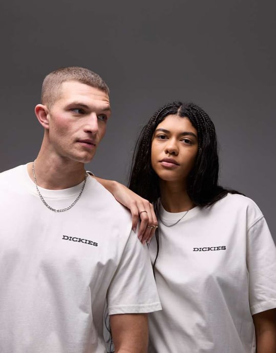 Dickies landscape graphic back print t-shirt in white - Image 2