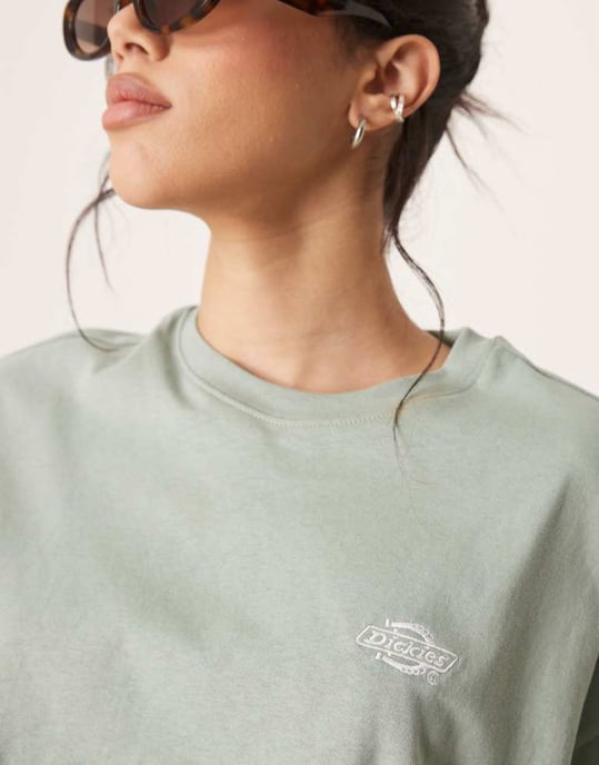Dickies summerdale oversized t-shirt in light green - Image 2