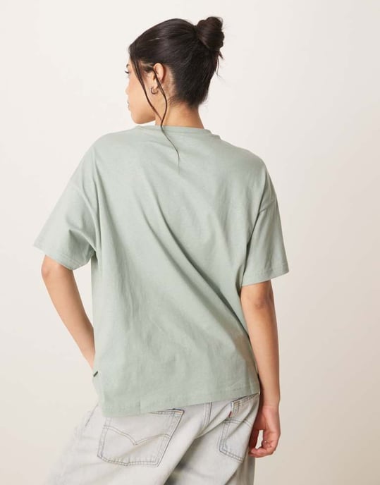 Dickies summerdale oversized t-shirt in light green - Image 4