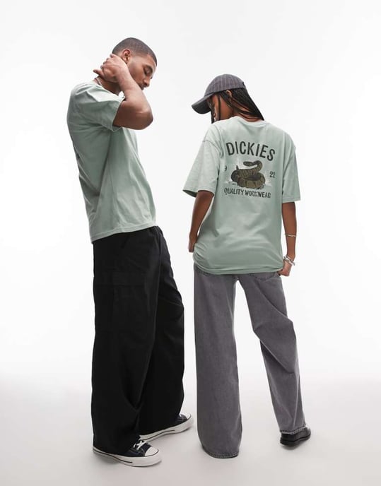 Dickies snake graphic back print t-shirt in light green - Image 1