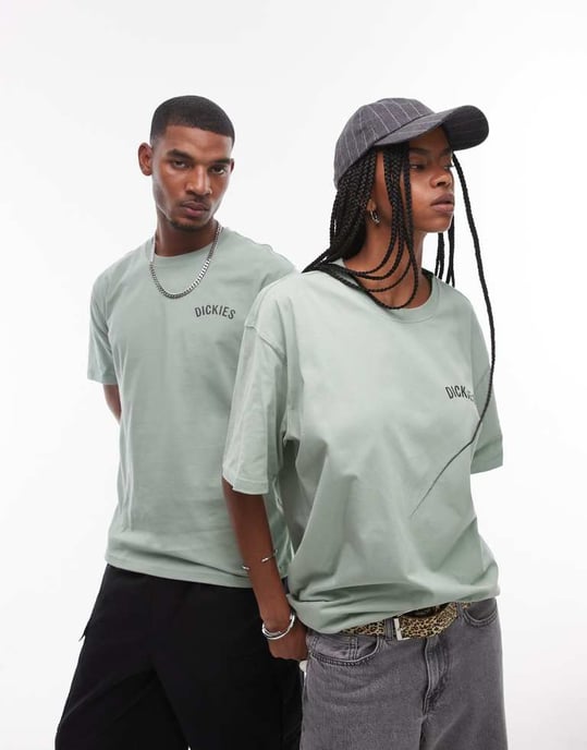 Dickies snake graphic back print t-shirt in light green - Image 2