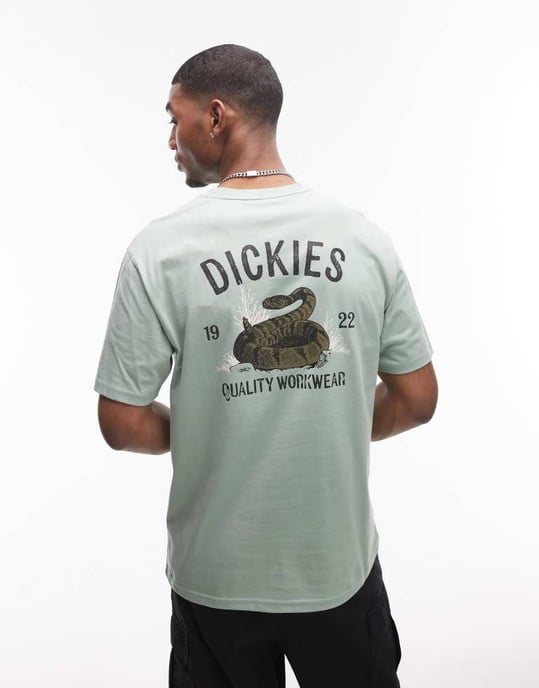 Dickies snake graphic back print t-shirt in light green - Image 3