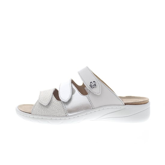 Solidus Wellness spezial - Image 1