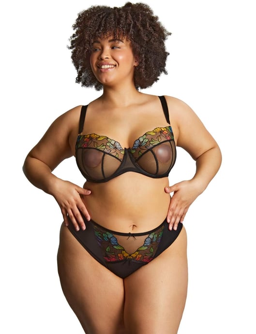 Sculptresse by Panache Eden High Leg Brief - Black - Image 4