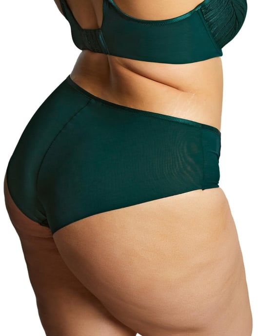 10708 Sculptresse by Panache Illuminate Deep Brief - Image 2