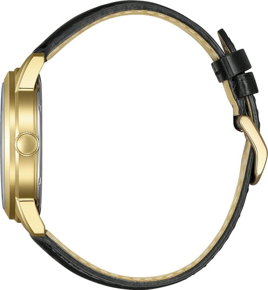 Citizen Heren Horloge Zwart AW0153-04AC - Image 2