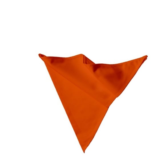 Link Kitchen Wear Bakersjaal van katoen (Oranje) - Image 2