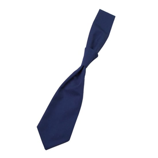 CG Workwear Messina Stropdas (Marine) - Image 2