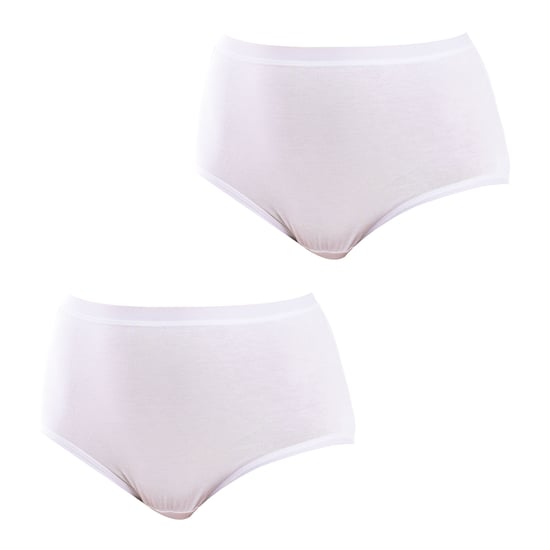 Pack of 2 Bamboo Panties for Women Plus Sizes Q908R - Image 1