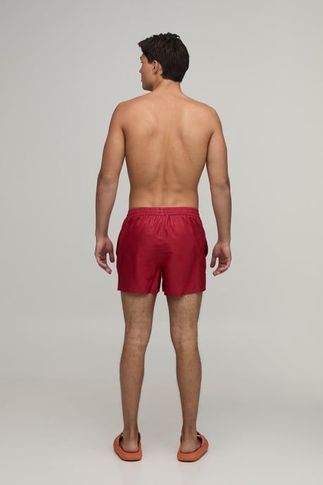 Side Stripe Panelled Applique Short Length Swim Short - Image 2