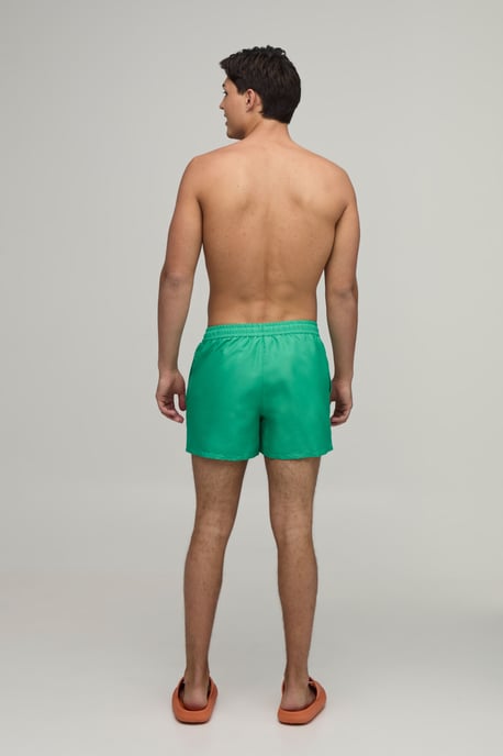 Side Stripe Panelled Applique Short Length Swim Short - Image 2