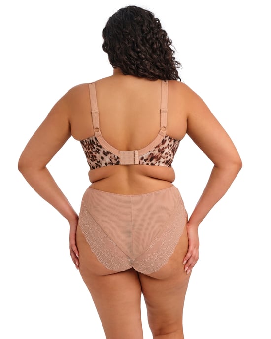 Lucie High Leg Brief - Image 6