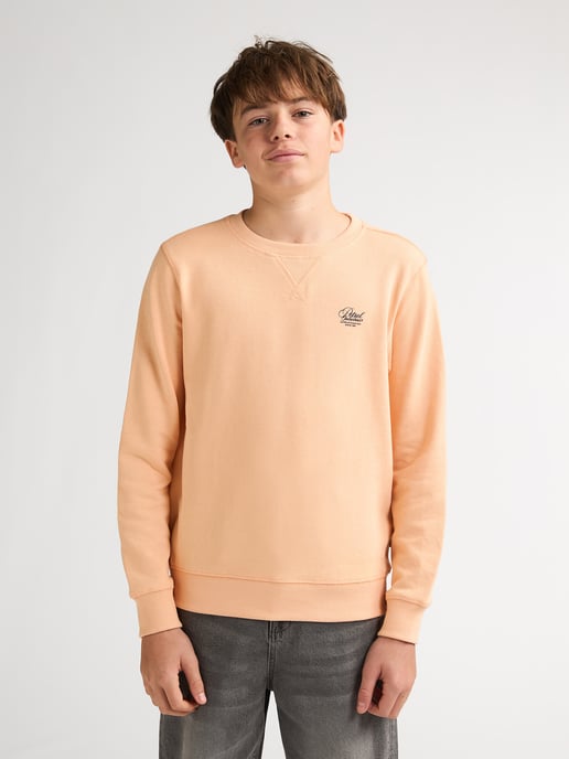 Petrol Industries - Jongens Sweater met print en ronde hals Ocotillo - Oranje - Image 3