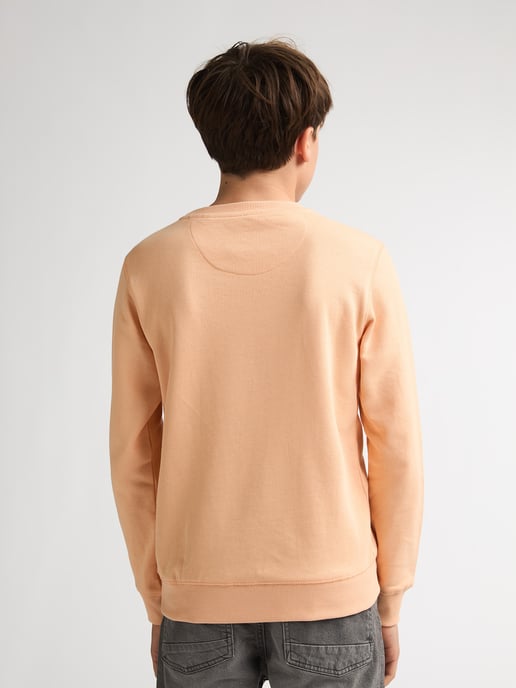 Petrol Industries - Jongens Sweater met print en ronde hals Ocotillo - Oranje - Image 4