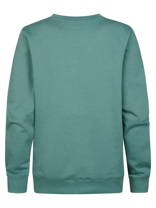 Petrol Industries - Jongens Sweater met print en ronde hals Ocotillo - Groen - Image 2
