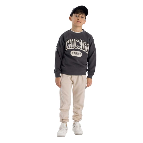 Minoti Joggingbroek met klein logo voor jongens (Beige) - Image 1