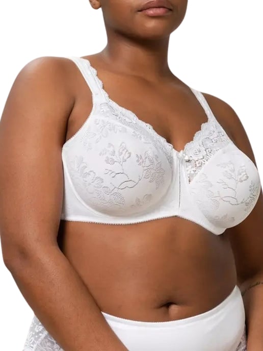 Triumph-bh - Image 2