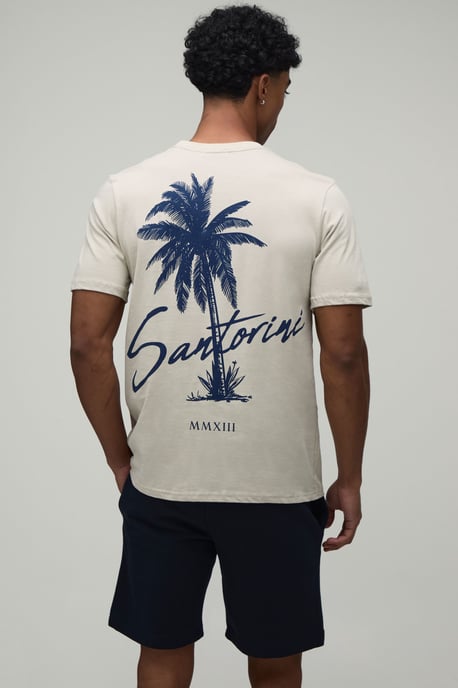 Regular Fit Palm Print T-Shirt & Short Set - Image 1