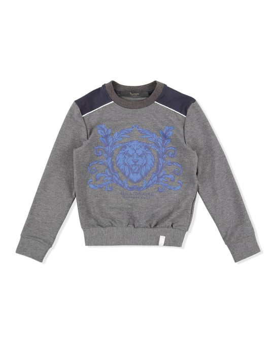 Sweatshirt Lion - Image 1