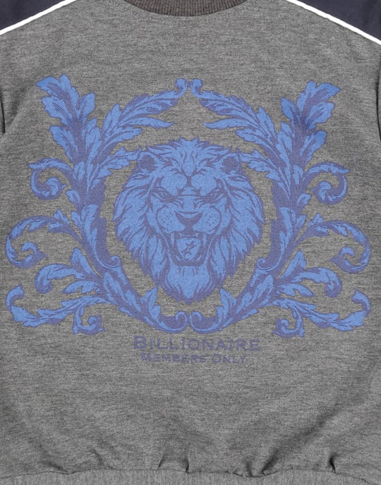 Sweatshirt Lion - Image 3