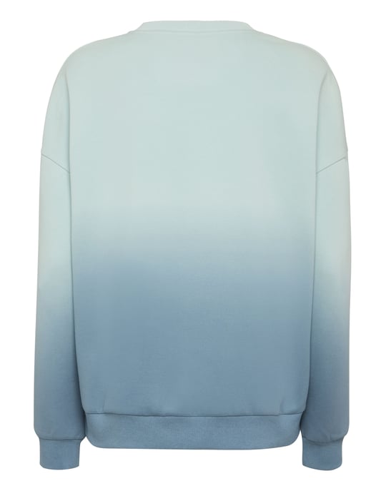 Sweatshirt Met Capuchon Degrade - Image 3