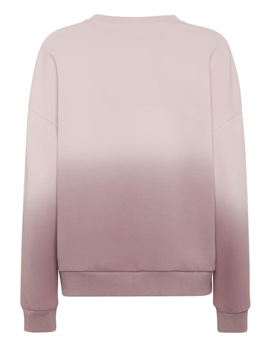 Sweatshirt Met Capuchon Degrade - Image 3