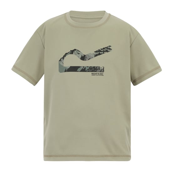 Regatta Childrens/Kids Alvarado Back Print T-Shirt (Abbeystone) - Image 2