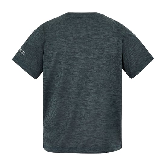 Regatta Childrens/Kids Alvarado Back Print T-Shirt (Dark Storm Marl) - Image 3