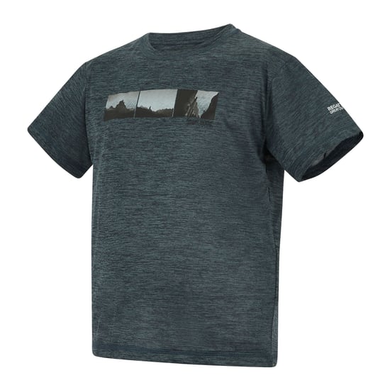 Regatta Childrens/Kids Alvarado Back Print T-Shirt (Dark Storm Marl) - Image 4